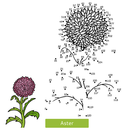 Numbers game, education dot to dot game for children, flower Asterのイラスト素材
