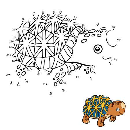 Numbers game, education dot to dot game for children, Indian star tortoiseのイラスト素材