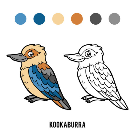 Coloring book for children, Kookaburraのイラスト素材