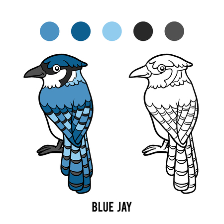 Coloring book for children, Blue jayのイラスト素材