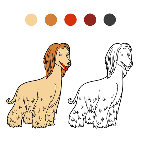 Coloring book for children, Dog breeds: Afghan houndのイラスト素材