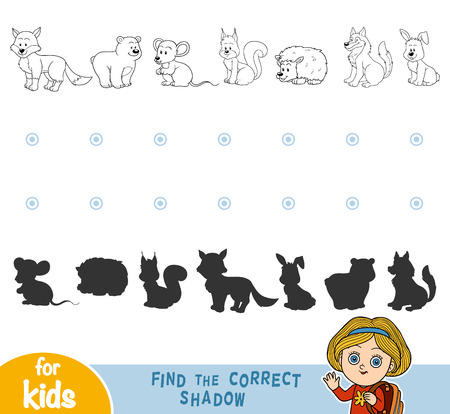 Find the correct shadow, education games for childrenのイラスト素材