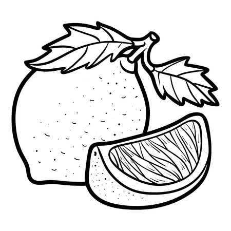 Coloring book for children, Limeのイラスト素材