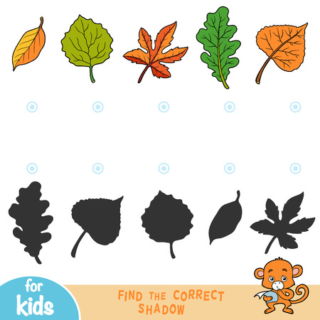 Find the correct shadow, education game for children, set of leafsのイラスト素材
