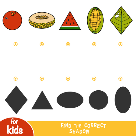 Find the correct shadow, education game for children, Set of nature items - apple, honeydew melon, watermelon, corn, leafのイラスト素材