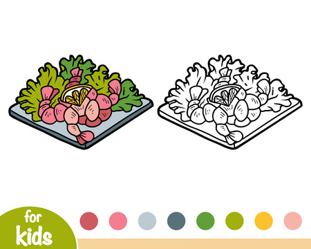 Coloring book for children, Shrimp saladのイラスト素材