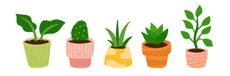 Cartoon vector illustration for children, Set of houseplants in a potsのイラスト素材