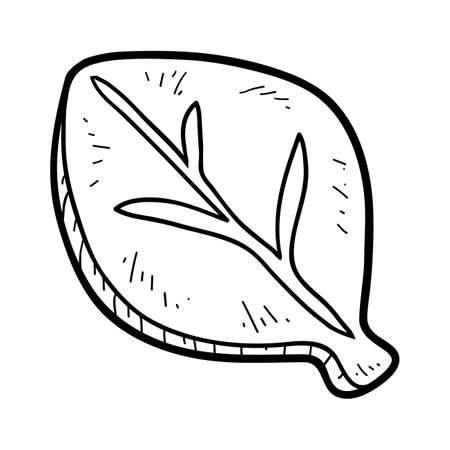 Coloring book for children, Cookie, leaf shapeのイラスト素材