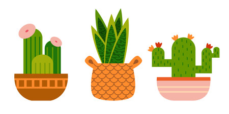 Set of cartoon houseplants in a pots. Vector flowers Snake plant and Cactus. Colored flat illustration isolated on white backgroundのイラスト素材