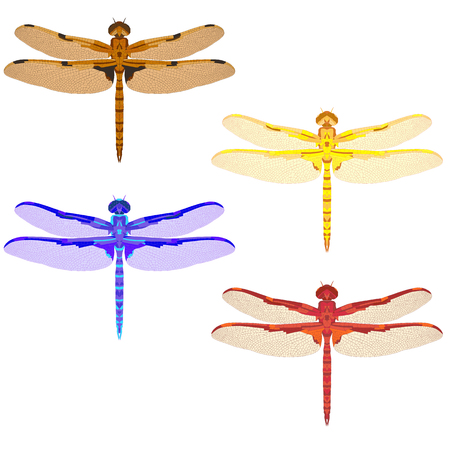 multicolored mosaic set with dragonflies. isolated. vector illustration.のイラスト素材