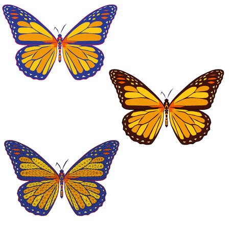 set of colored mosaic butterflies on whith background. isolated. vector illustration.のイラスト素材