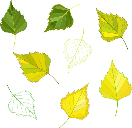 colorful mosaic birch leaves. isolated. easy to modify. vector illustration.のイラスト素材