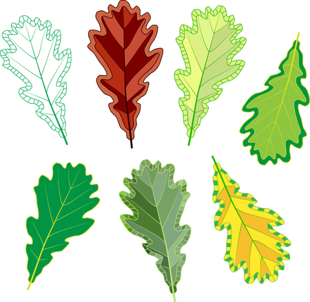 Colorful mosaic oak leaves. isolated. easy to modify. vector illustration.のイラスト素材