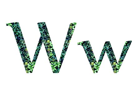 alphabet, letters  from green grape leaves. Letter W