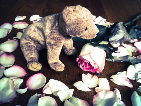 Flowers composition. One Bear with one rose. Valentine's day concept with Cute toy Teddy bear sitting in profile with a pink rose on wooden background.の写真素材