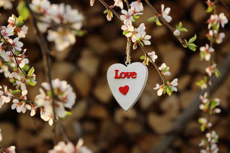 Heart in the blossomの写真素材