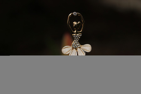 Little ballerina in the beautiful flowerの写真素材