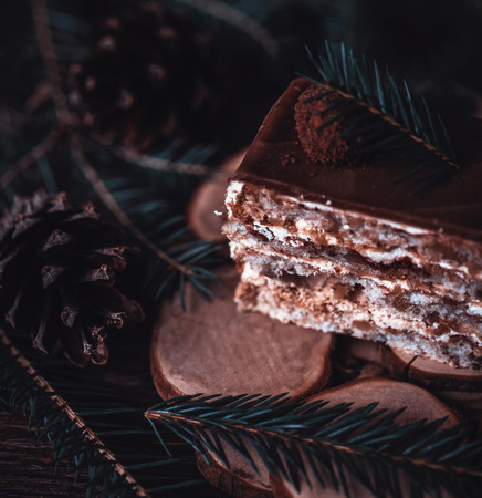 Christmas tasty cake on a dark wooden background with spruce decoration.の写真素材