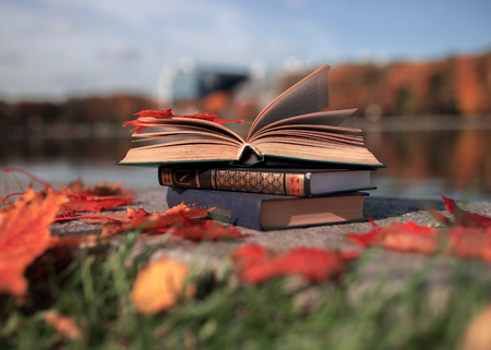 Open book outdoorの写真素材
