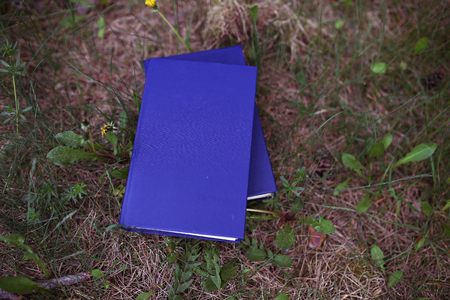Closed book outdoor. Books in the forestの写真素材