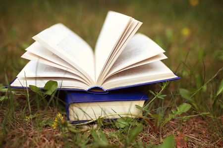 Open books outdoor. Books in the woodsの写真素材