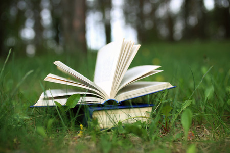 Open books outdoor. Books in the woodsの写真素材