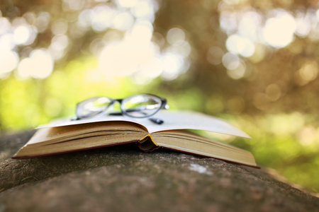 Open books outdoor. Books in the woodsの写真素材