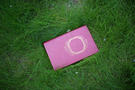 Closed book outdoor. Books in the forestの写真素材