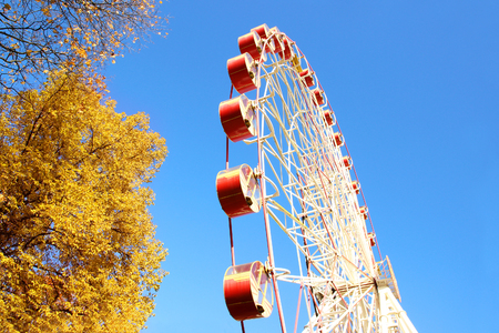 A colorful ferris wheel in amusement park. Autumn park.の写真素材