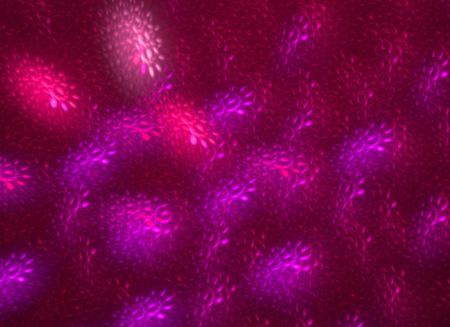 Abstract fractal. Fractal art background for creative design. Decoration for wallpaper, desktop,...
