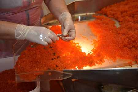 Preparing salmon caviar in the fishing processing plant