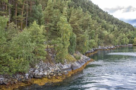 The beginning of the fall in Norwegian fjordsの写真素材