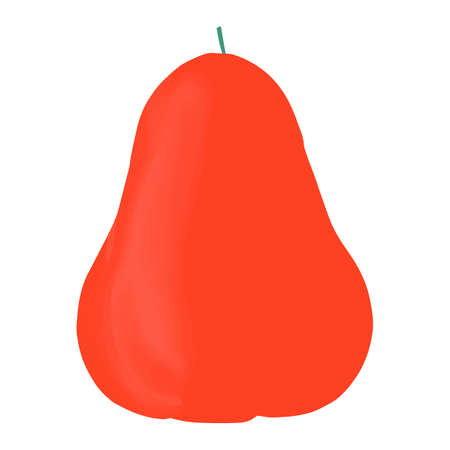 Isolated vector colourful watery rose apple in cartoon style. Exotic fruits concept. Vegetarian, organic food.のイラスト素材