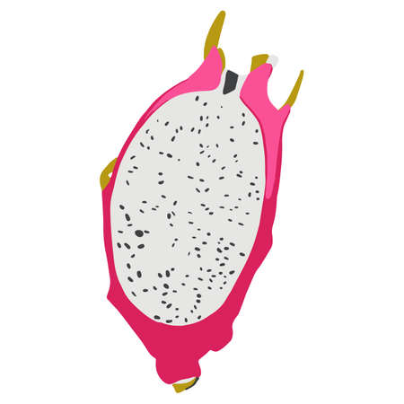 Isolated vector colourful pitaya. Half of dragon fruit in cartoon style. Exotic fruits concept. Vegetarian, organic food.のイラスト素材