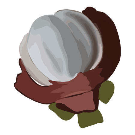 Isolated vector colourful mangosteen inside in cartoon style. Exotic fruits concept. Vegetarian, organic food.のイラスト素材