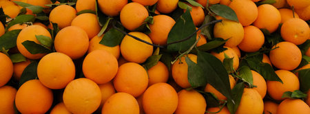 Close up orange organic tangerines with green leaves from market. Square format. Concept of juicy energyの写真素材