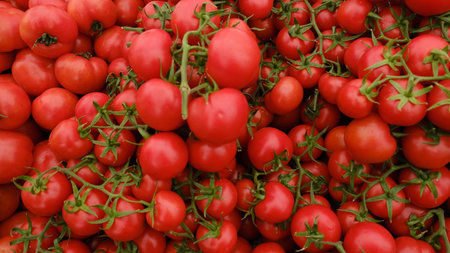 close up tomatoes on market view from aboveの写真素材