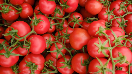 close up tomatoes on market view from aboveの写真素材