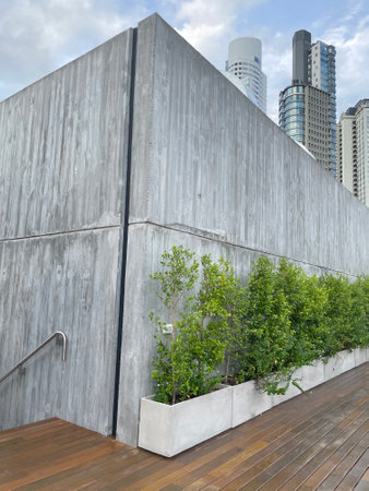 building exterior design concrete wall wooden floor and green plantsの写真素材