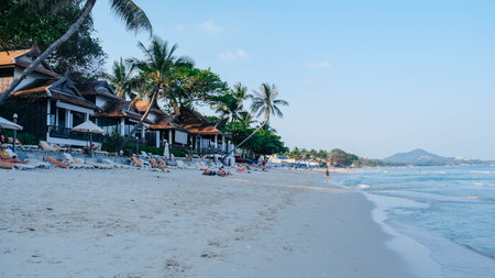 A tranquil beach scene features stunning palm trees, serene blue waters, and charming beachfront villasの写真素材