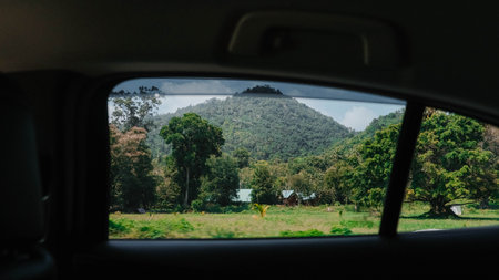 A mesmerizing view of lush green hills and towering trees captured from the car, showcasing natures beautyの写真素材
