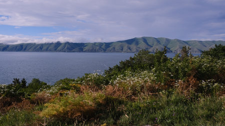 The breathtaking coastal landscape showcases vibrant greenery and serene calm waters under a beautiful cloudy skyの写真素材
