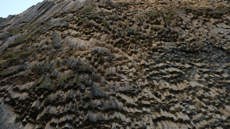 A detailed closeup view showcasing a rugged rock surface adorned with intricate textures and vibrant lush vegetationの写真素材