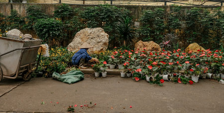 A vibrant scene showcasing colorful flowers and gardening tools in a serene outdoor setting that...