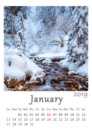 A4 printable 2019 calendar - month of January. Nature, minimalist calendar.の写真素材