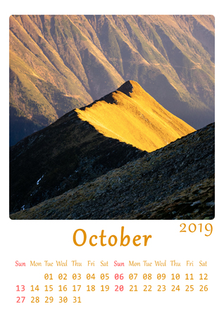 A4 printable 2019 calendar - month of October. Nature, minimalist calendar.の写真素材