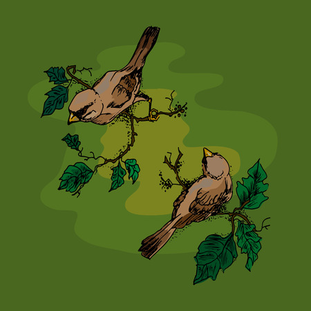 Illustration of birds on a branch, greeting cardのイラスト素材