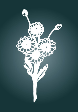 Illustration chrysanthemum on green backgroundのイラスト素材