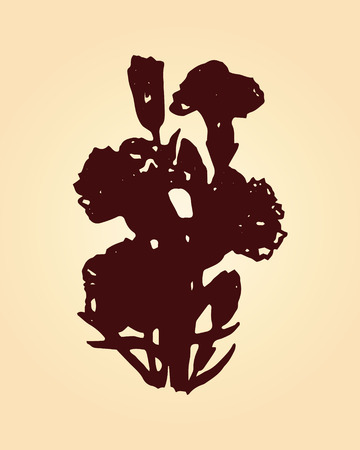 Illustration carnation on a pink backgroundのイラスト素材