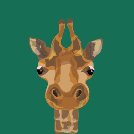 Illustration of a giraffe. The head of the giraffes.のイラスト素材
